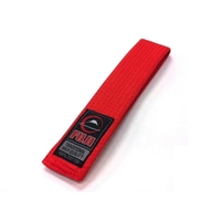 Fuji Red Activity Game Belt