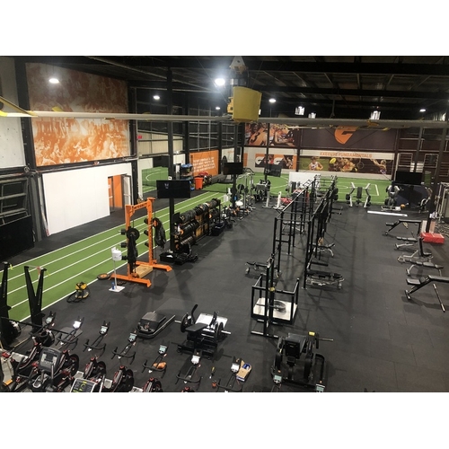 Legend Double Wide Speed Turf
