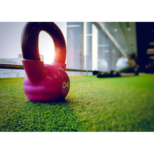 Legend Pro Speed Turf